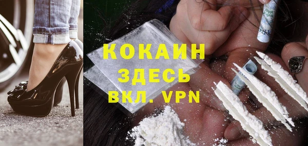 индика Алексеевка