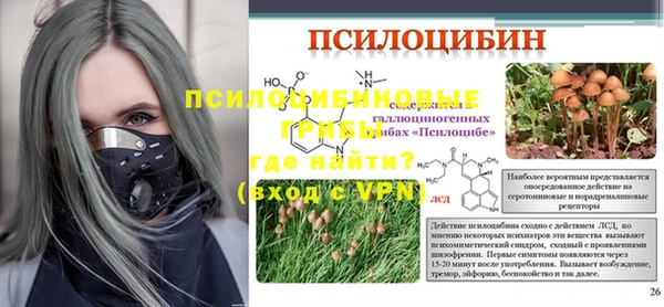индика Алексеевка