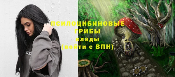 а пвп мука Елизово
