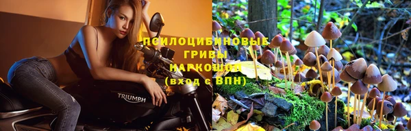 spice Алексин