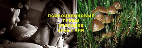 spice Алексин