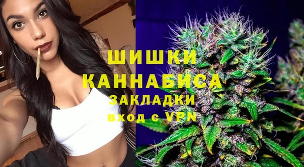 индика Алексеевка