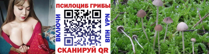 Галлюциногенные грибы Magic Shrooms  Кропоткин 