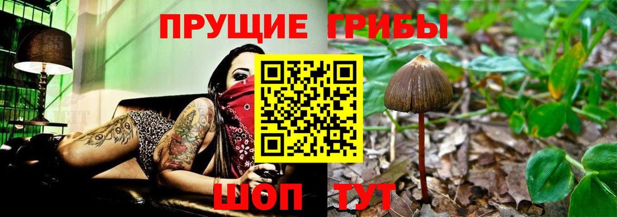 Галлюциногенные грибы MAGIC MUSHROOMS  Вход с VPN  Кропоткин 